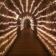 Illustration for article titled Photo Contest: Christmas Lights